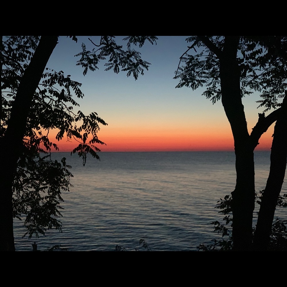 Meet your Posher, Tanya